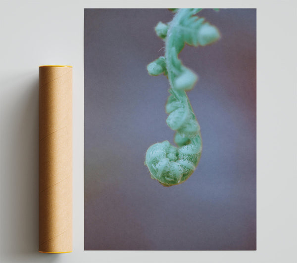 Mint Green Unfurling Fern Print