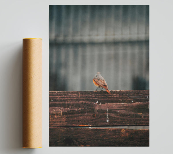 The Red Bird'S Turn. Giclee Print