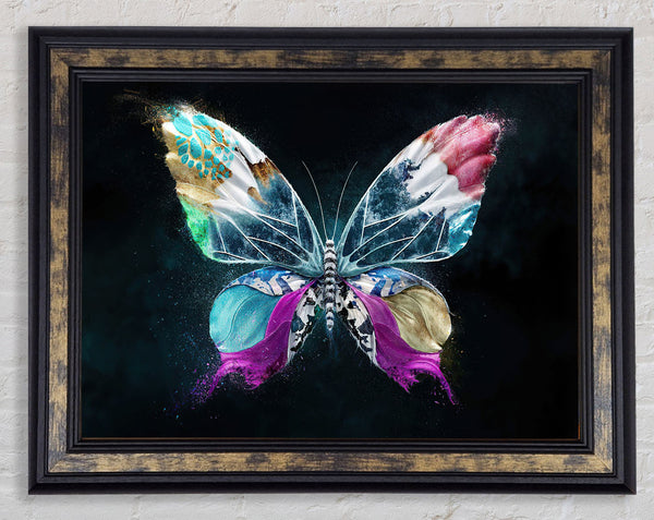 Butterfly Explosion Framed Print