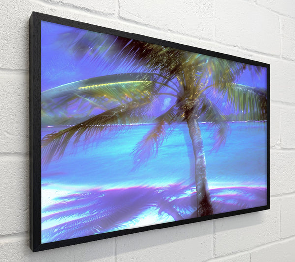 Blue Palm Shoreline