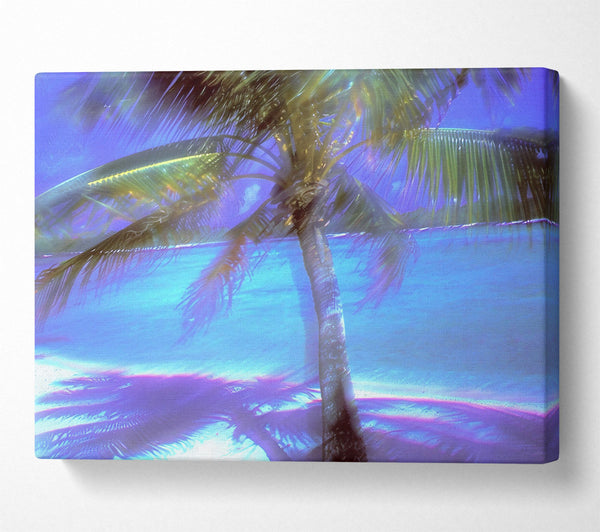  A Canvas Print of Blue Palm Shoreline Canvas Wall Art