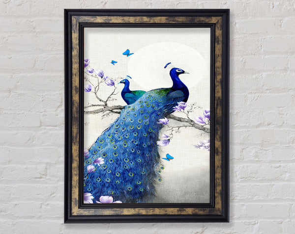 Butterfly Peacock Framed Print