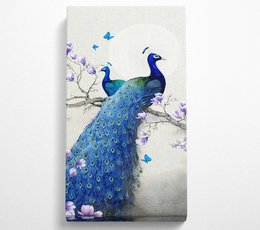  A Canvas Print of Butterfly Peacock Canvas Art
