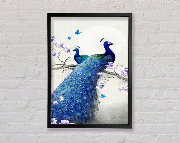 Butterfly Peacock Framed Print