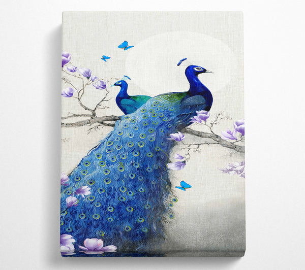  A Canvas Print of Butterfly Peacock Canvas Art