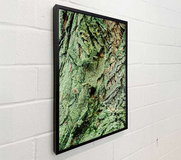 Emerald Bark Texture