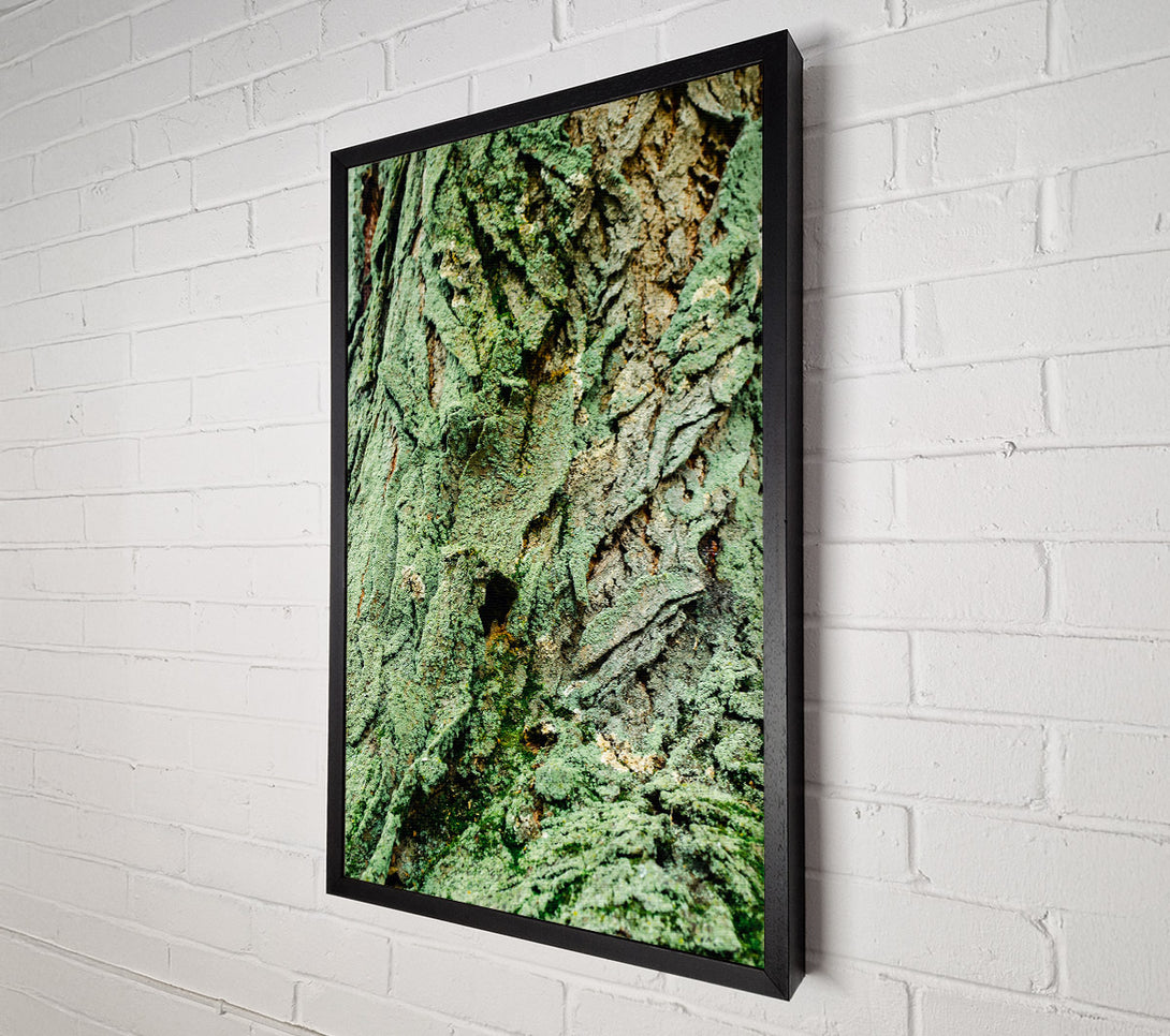  A Canvas Print of Emerald Bark Texture Canvas Wall Art
