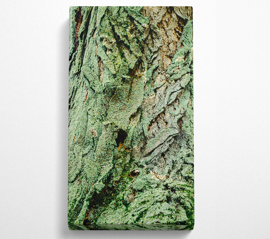  A Canvas Print of Emerald Bark Texture Canvas Wall Art