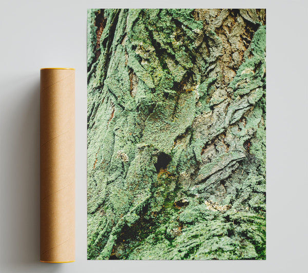 Emerald Bark Texture Print