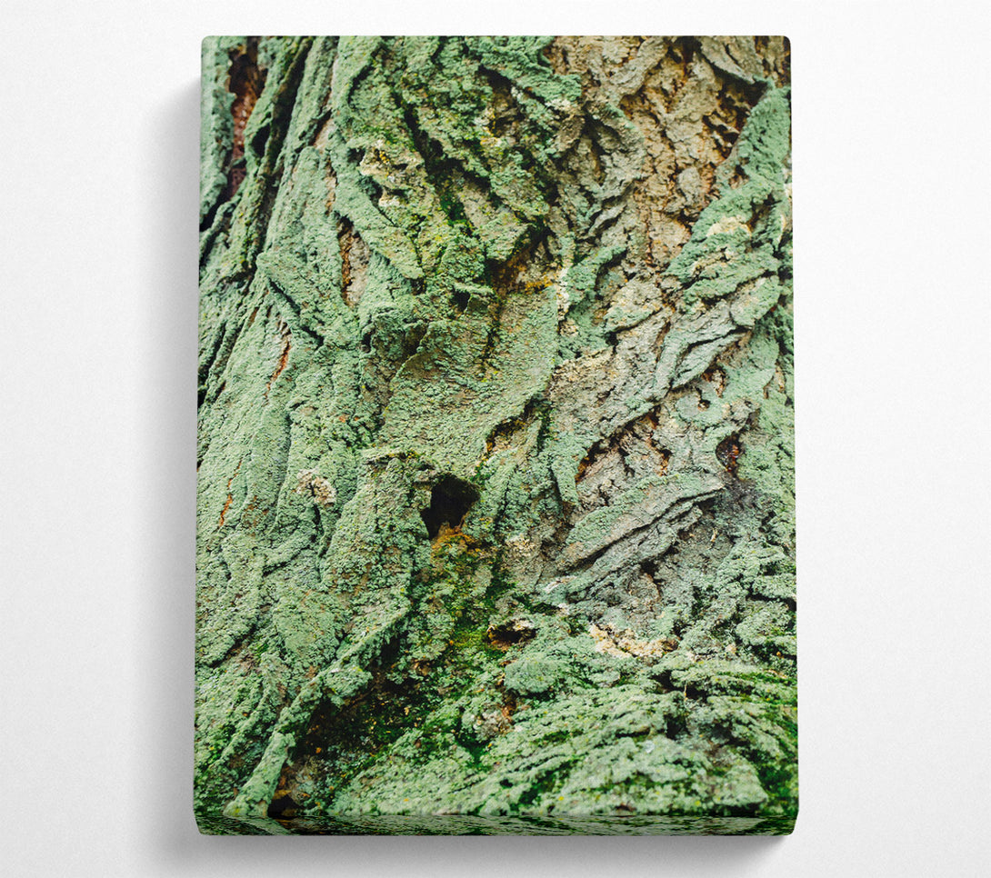  A Canvas Print of Emerald Bark Texture Canvas Wall Art