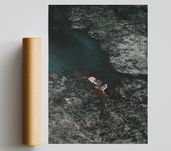 Emerald Pond Solitude Poster
