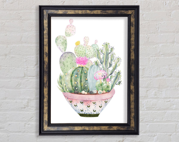 Cactus In Pink Pot Framed Print