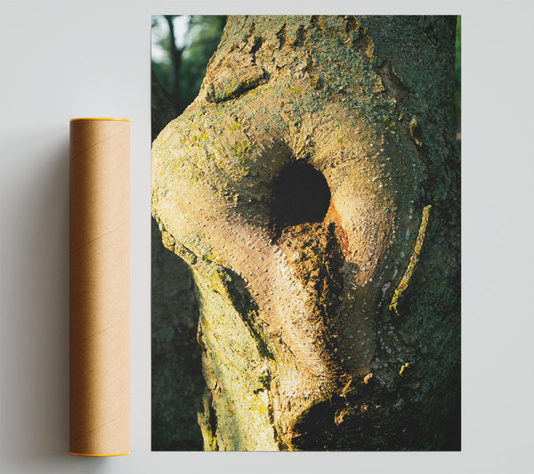 Golden Tree Hollow Giclee Print