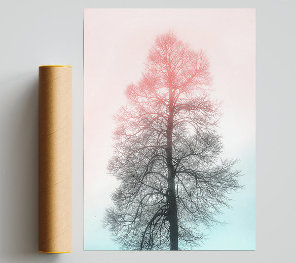 Pink Tree Silhouette Giclee Print