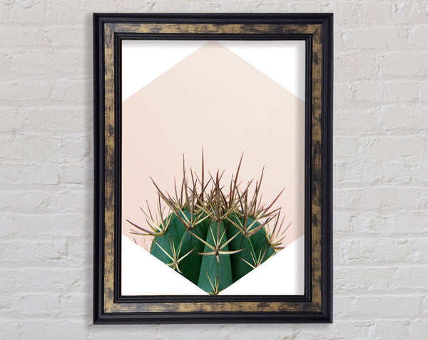 Cactus Spike Framed Print
