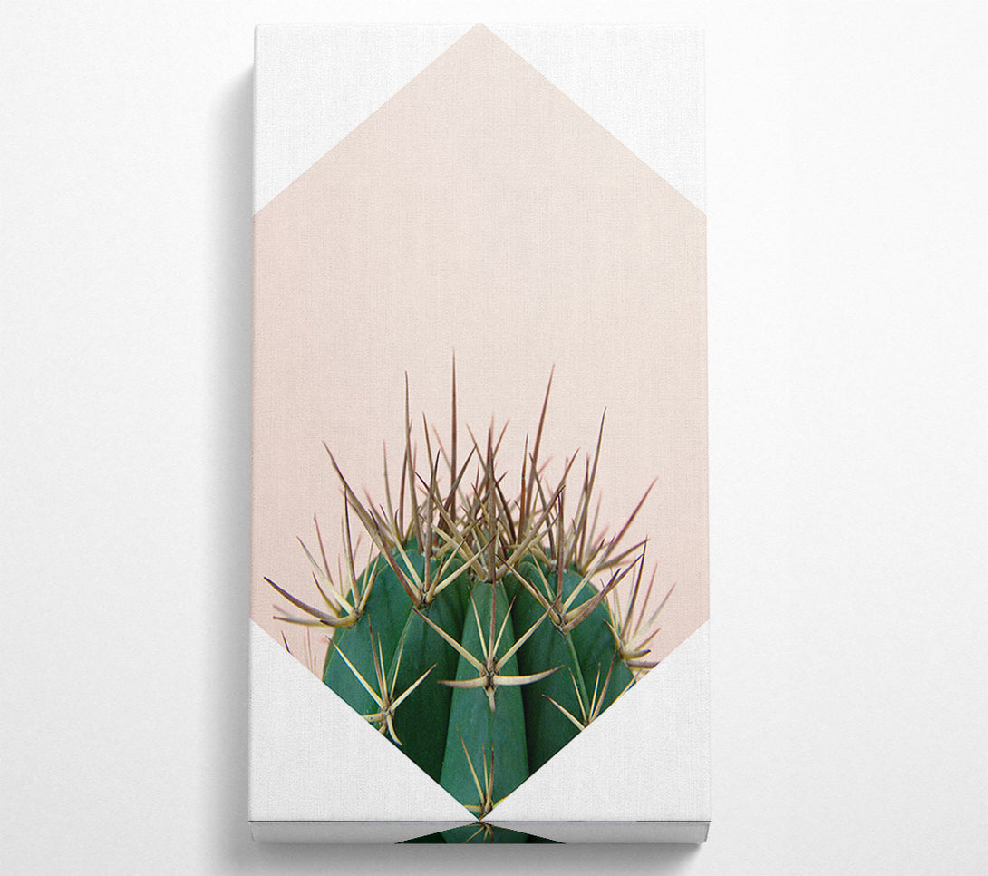  A Canvas Print of Cactus Spike Canvas Wall Art