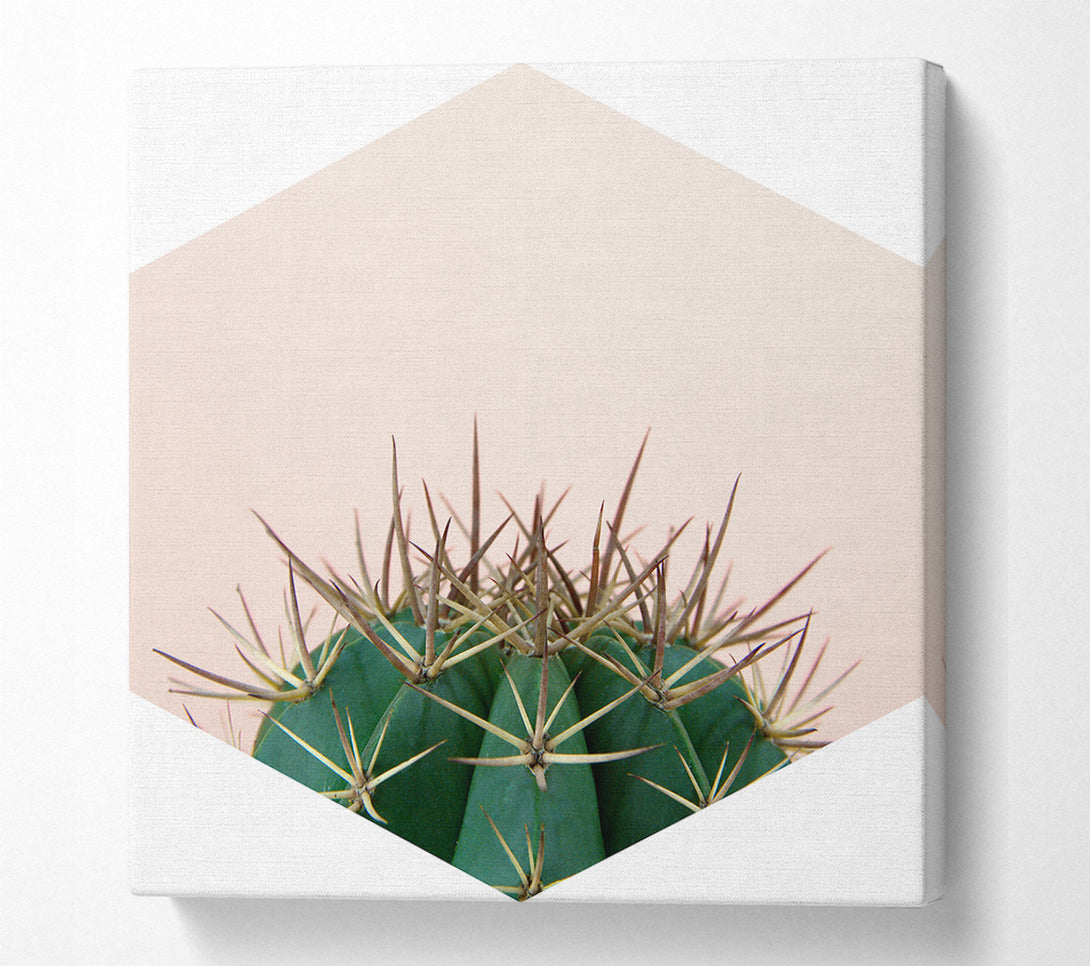  A Canvas Print of Cactus Spike Canvas Wall Art