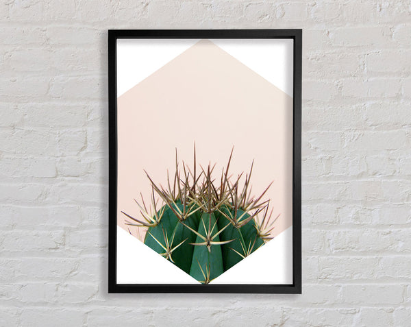Cactus Spike Framed Print