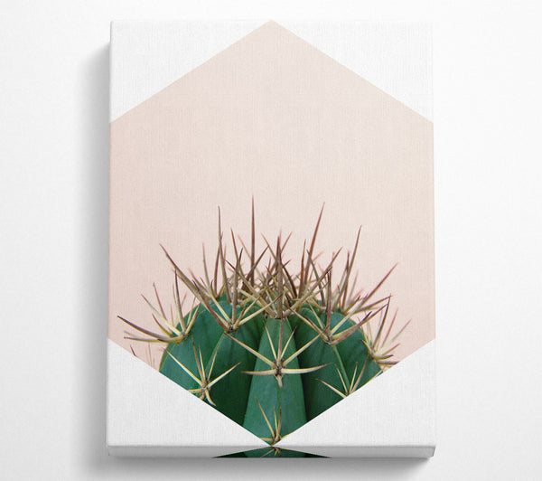  A Canvas Print of Cactus Spike Canvas Wall Art