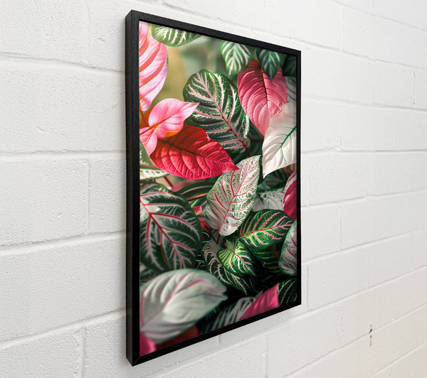 Crimson Jungle Leaves
