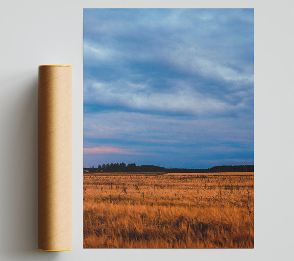 Golden Field And Sky Print