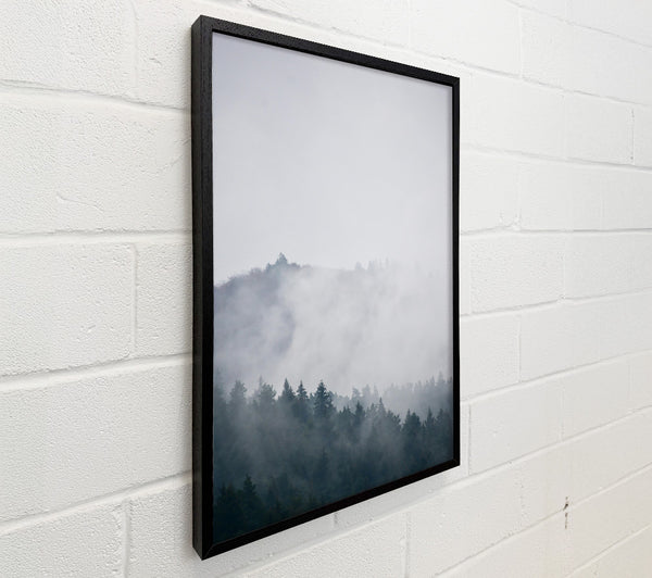 Grey Mist Forest