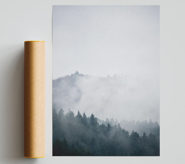 Grey Mist Forest Poster