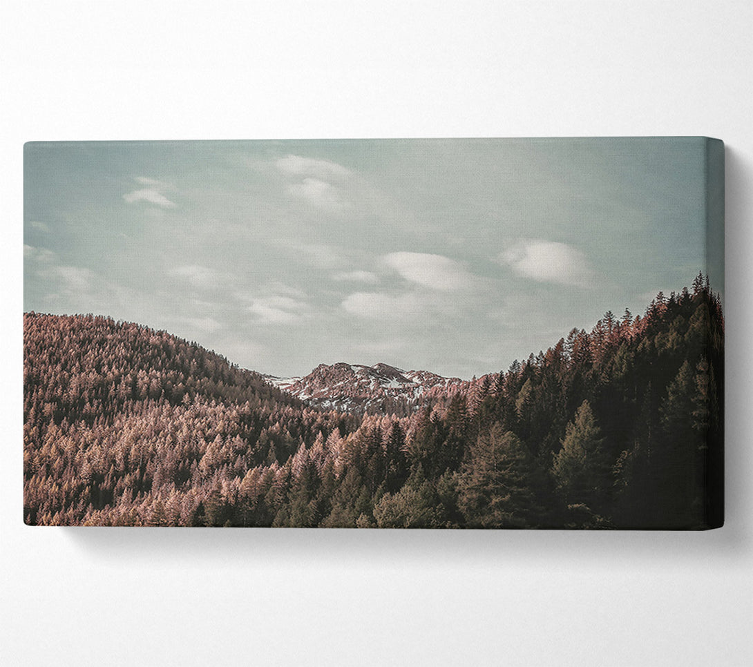  A Canvas Print of Pink Sky Mountain View Canvas Print