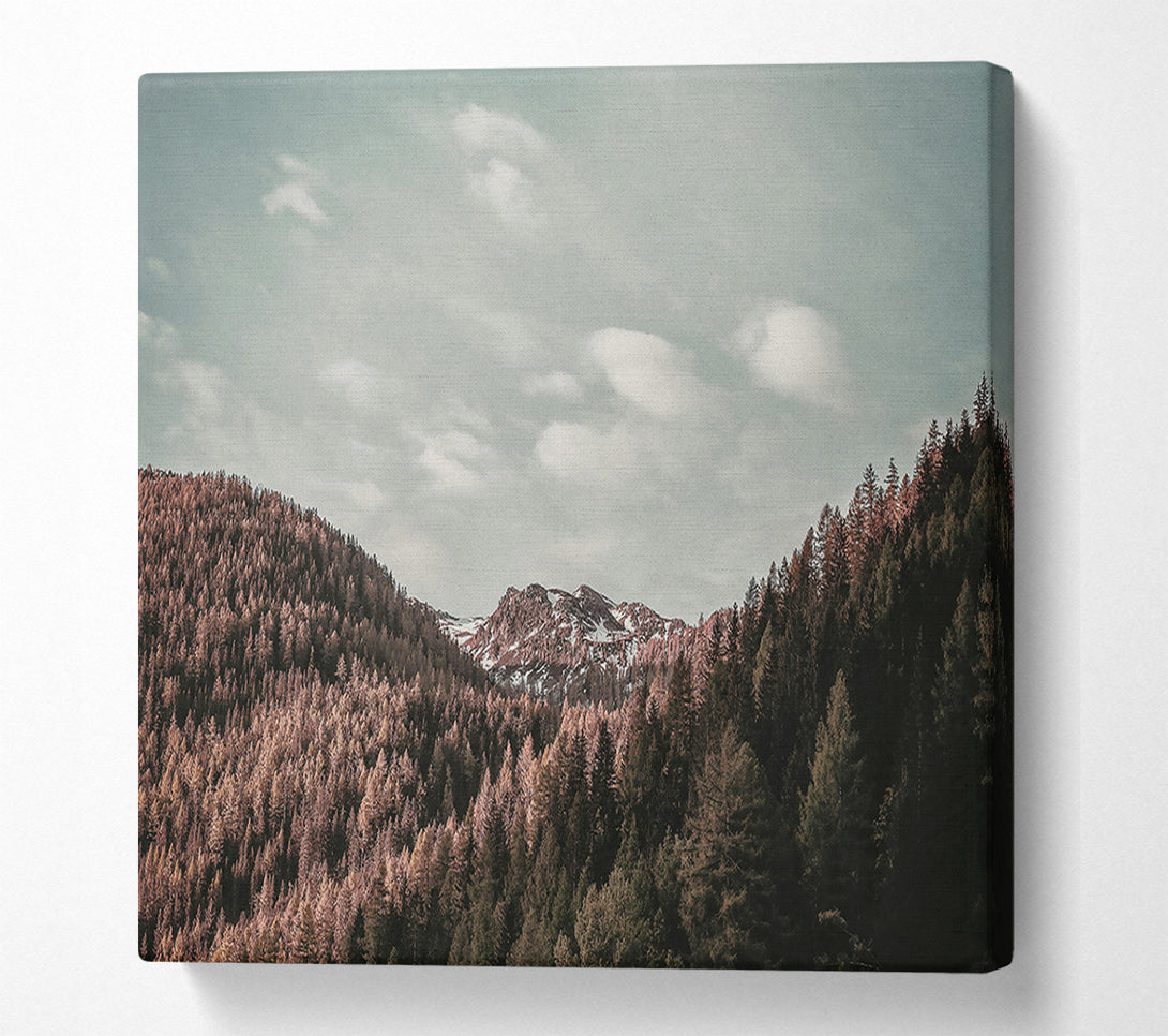  A Canvas Print of Pink Sky Mountain View Canvas Print
