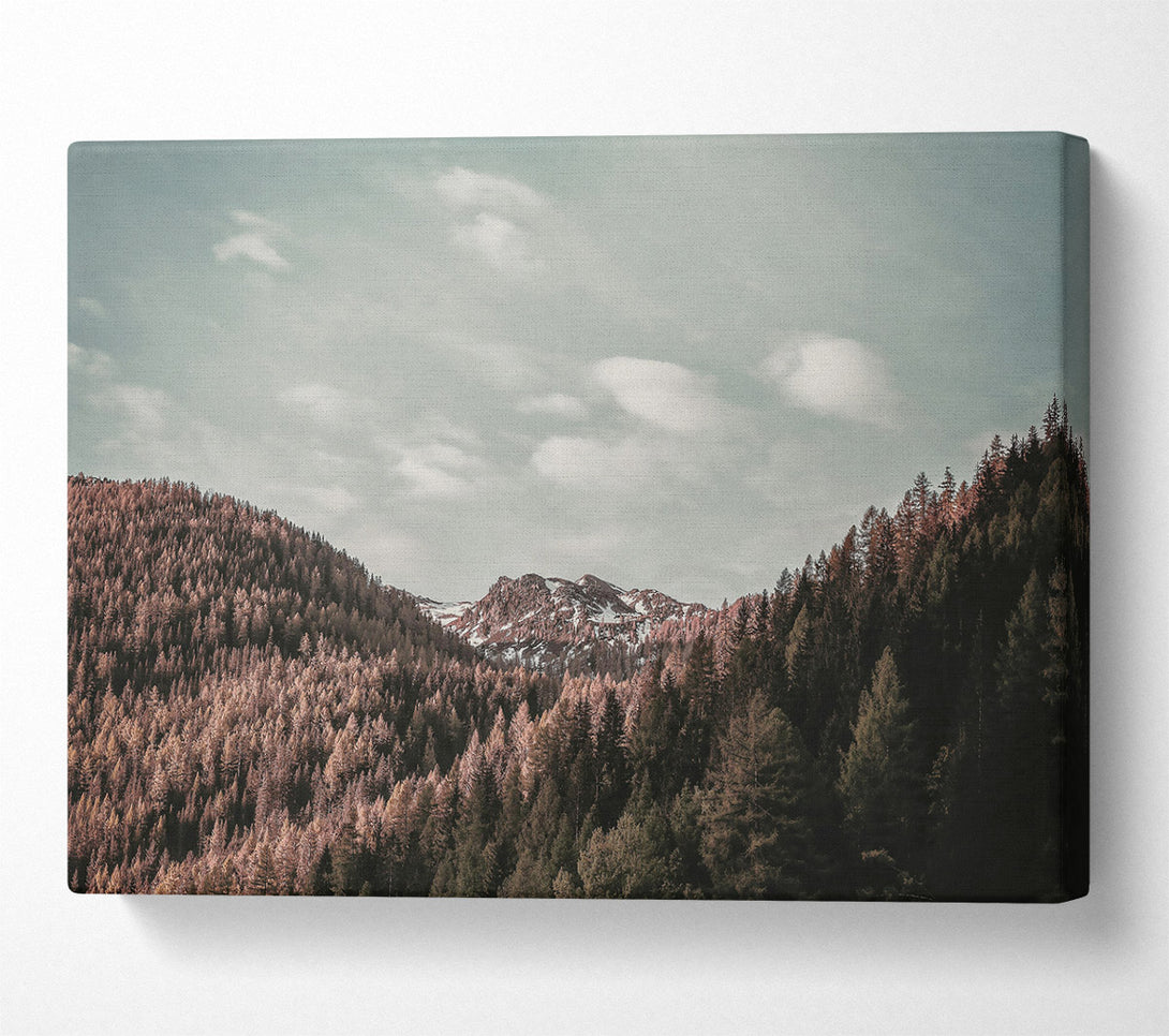  A Canvas Print of Pink Sky Mountain View Canvas Print