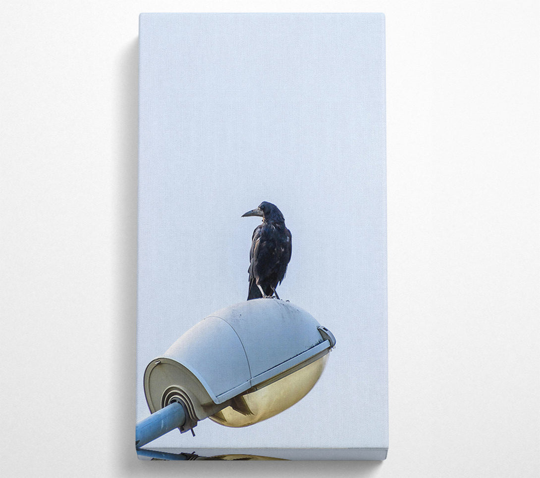  A Canvas Print of Black Raven On White Light Canvas Wall Art