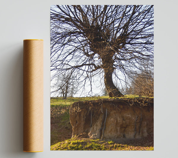 Brown Roots Exposed Giclee Print