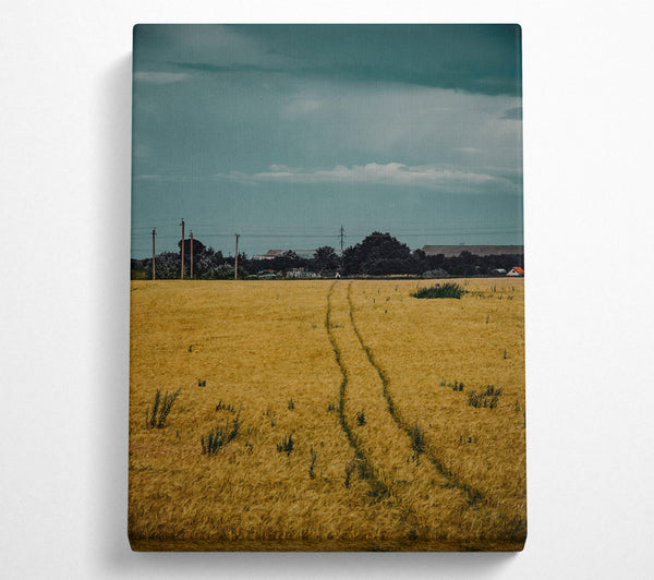  A Canvas Print of Golden Wheat Path Canvas Print