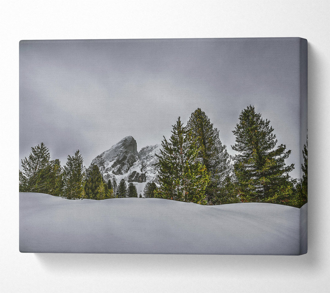  A Canvas Print of White Peaks And Pines Canvas Wall Art