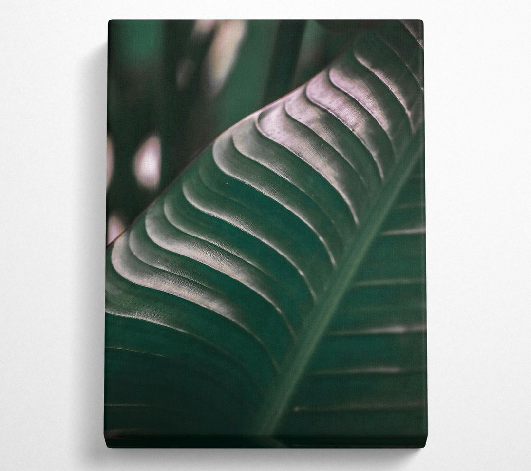  A Canvas Print of Emerald Leaf Texture Canvas Art