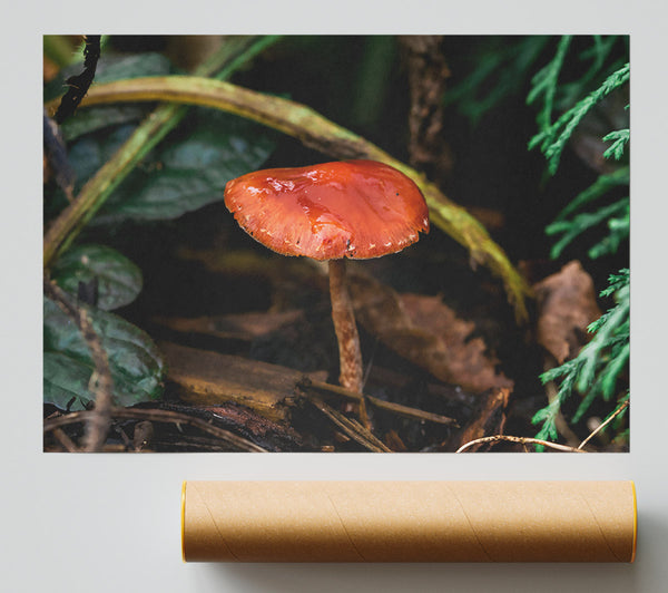 Crimson Forest Bloom Print