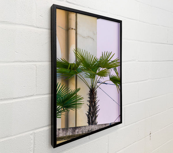Pale Green Palm Tree