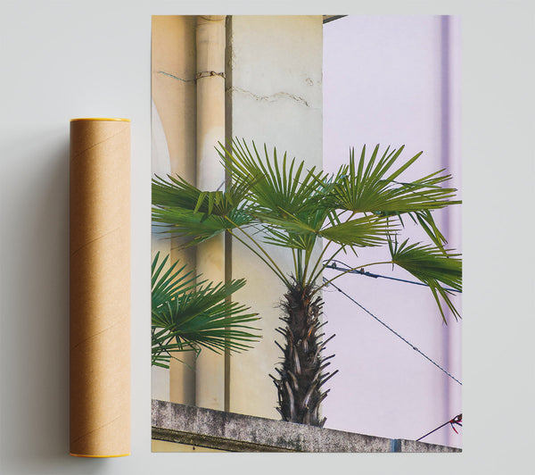 Pale Green Palm Tree Giclee Print