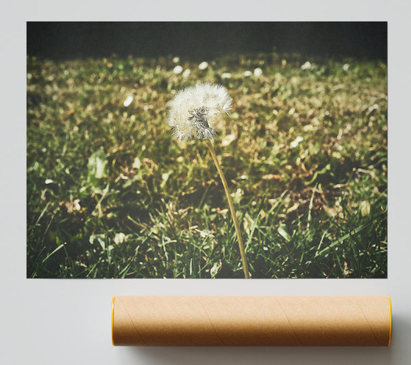 Green And White Wish Poster