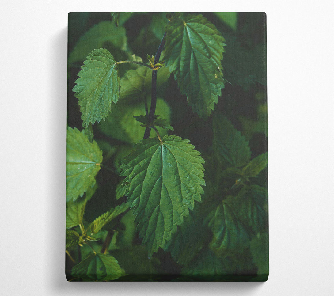  A Canvas Print of Emerald Green Veins Canvas Art