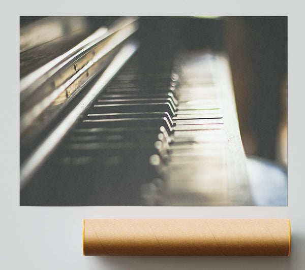 White Keys In Shadow Poster