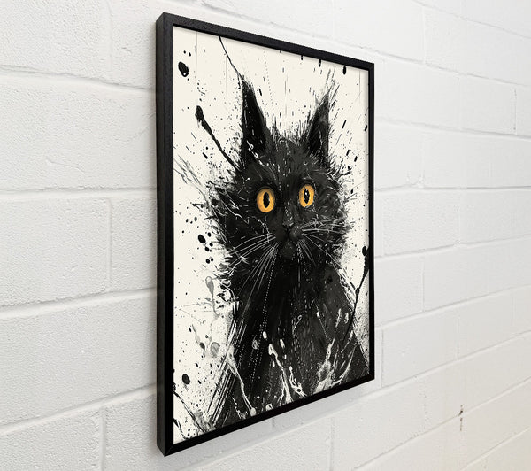 Black Cat Splash