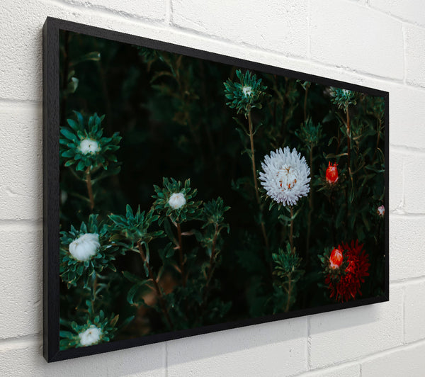White Blooms In Green