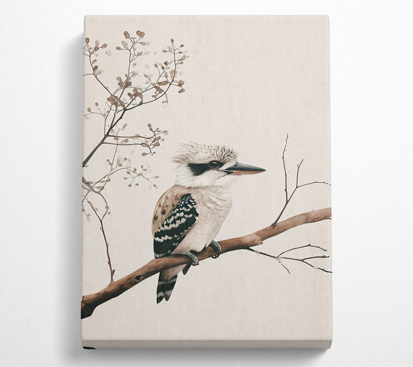  A Canvas Print of Pale Bird On Branch Canvas Art