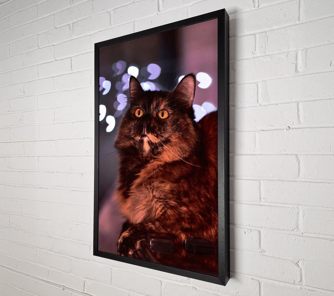  A Canvas Print of Golden Fur And Lights Canvas Art