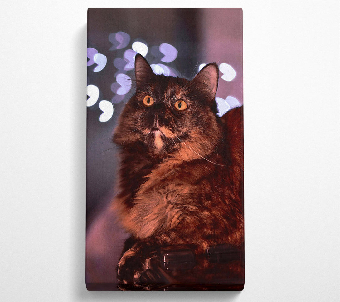  A Canvas Print of Golden Fur And Lights Canvas Art