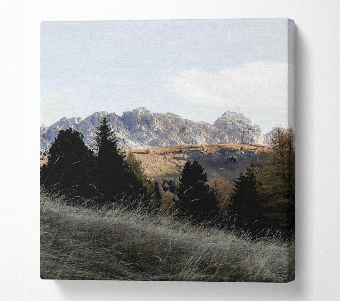  A Canvas Print of Golden Mountain Shadows Canvas Art