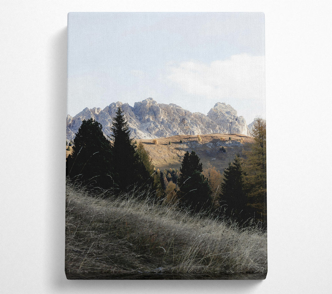  A Canvas Print of Golden Mountain Shadows Canvas Art