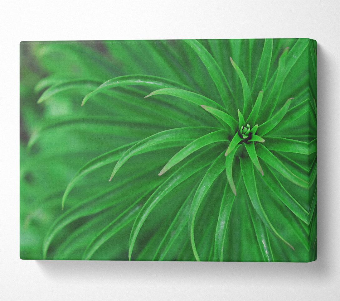  A Canvas Print of Emerald Green Tendrils Canvas Print