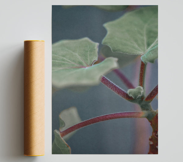 Green And Red Stems Giclee Print